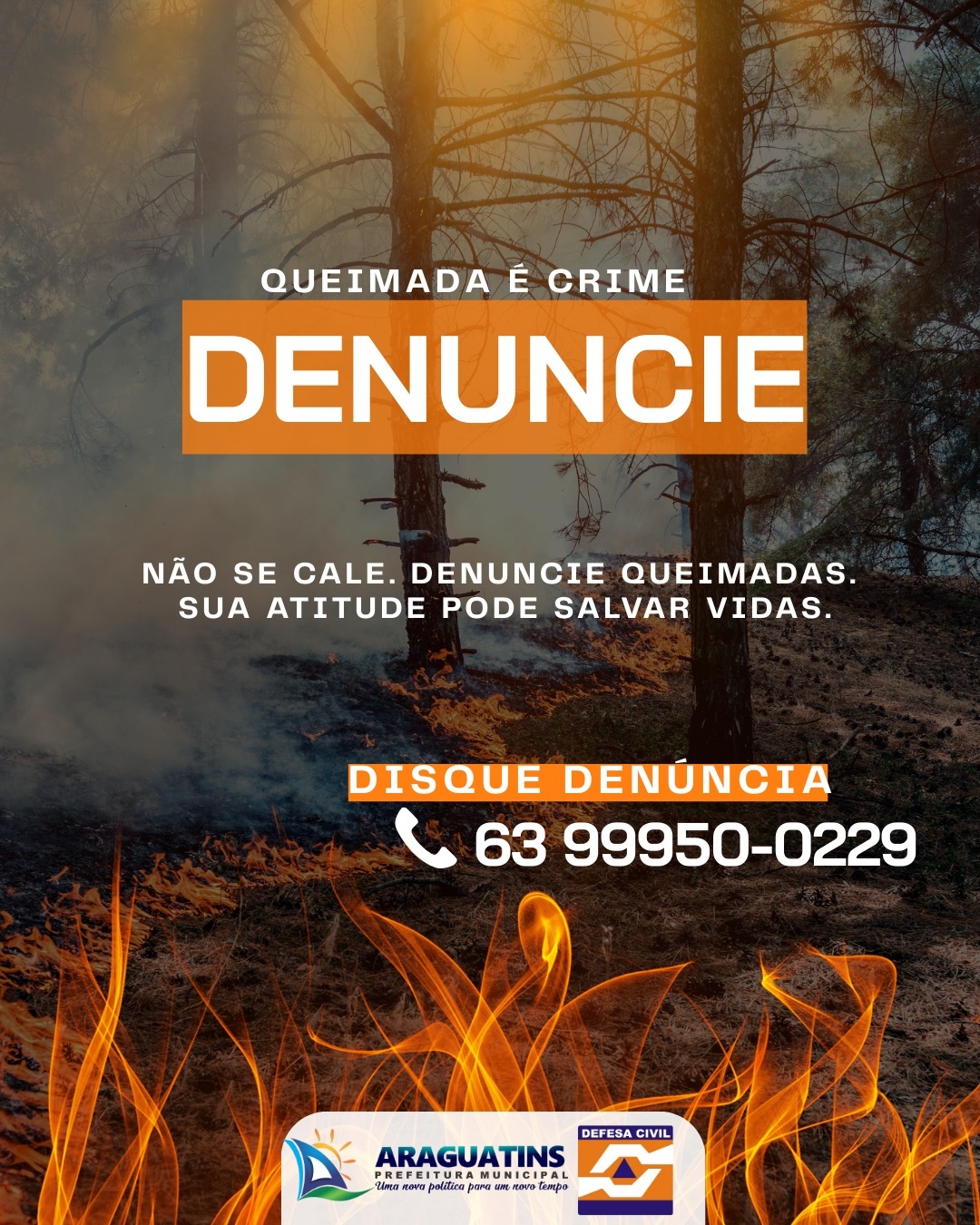 QUEIMADA É CRIME QUEIMADA É CRIME